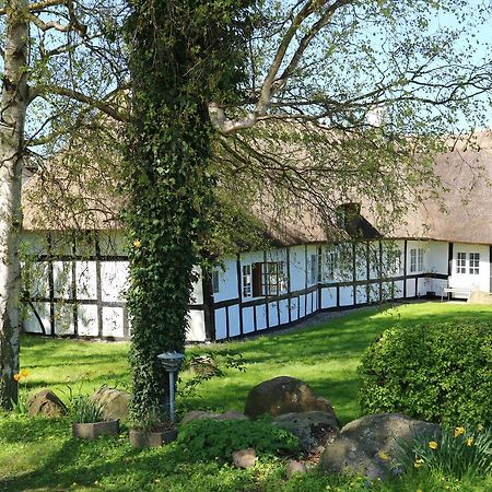 Birkelygaard Bed & Breakfast Hårby Exteriér fotografie