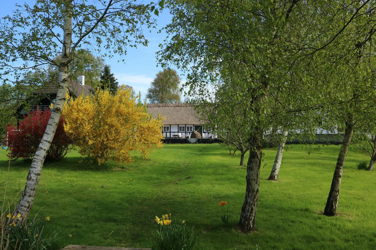 Birkelygaard Bed & Breakfast Hårby Exteriér fotografie